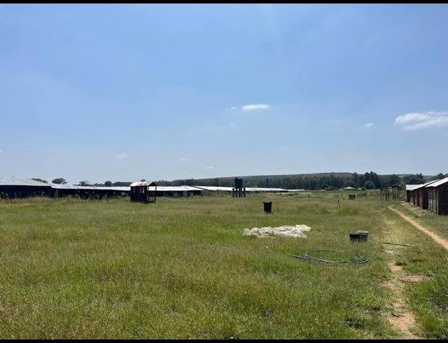 FARM FOR SALE IN WALKERVILLE CENTRAL